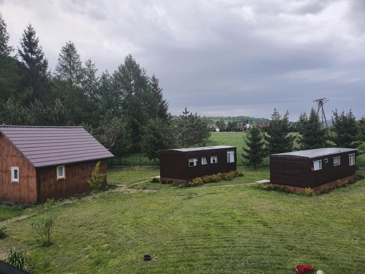 Domki Bieszczady Villa Uherce Mineralne Eksteriør billede