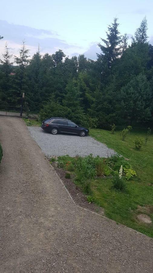 Domki Bieszczady Villa Uherce Mineralne Eksteriør billede
